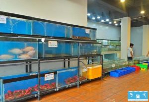 Hồ hải sản 3 tầng có chân tại một quán ăn hải sản ở Quảng Ngãi